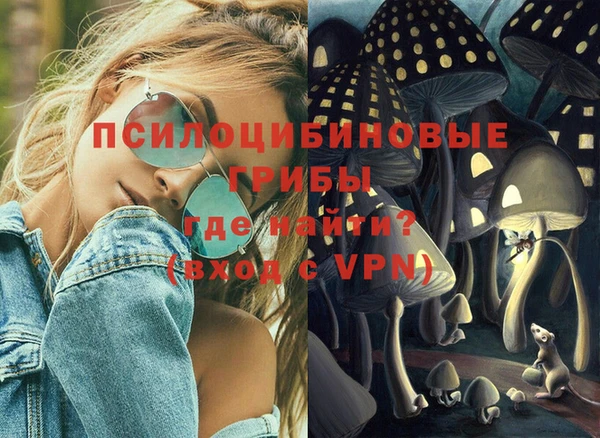 каннабис Аркадак