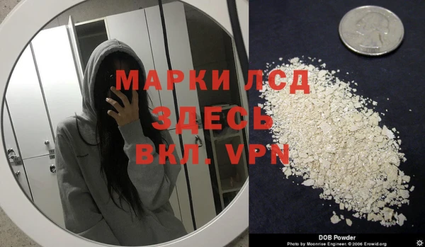 spice Алзамай