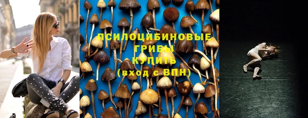 метадон Армянск