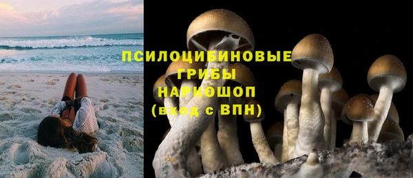 метадон Армянск