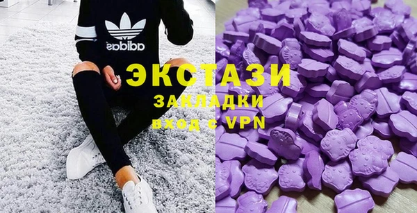 гашик Алексин