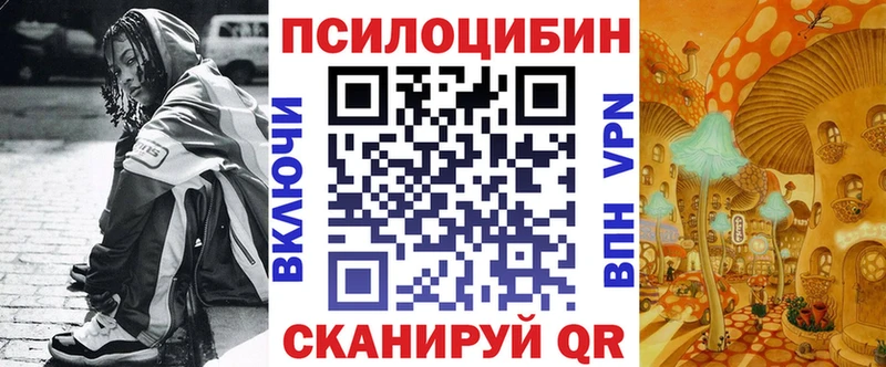 кракен онион  закладка  Волхов  Галлюциногенные грибы мицелий 