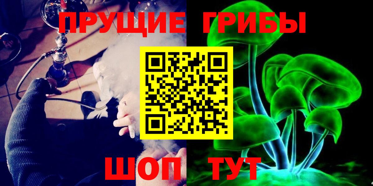 Волхов  Псилоцибиновые грибы мицелий  Вход с VPN 