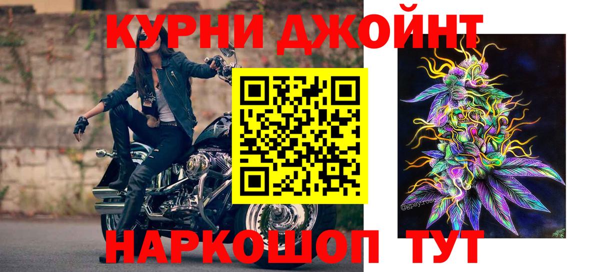 Бошки Шишки планчик Волхов